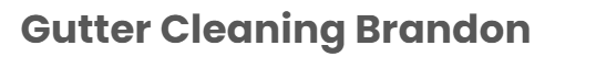 gutter-cleaning-brandon-logo.png gutter-cleaning-brandon-logo.png